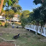 Lily Resort